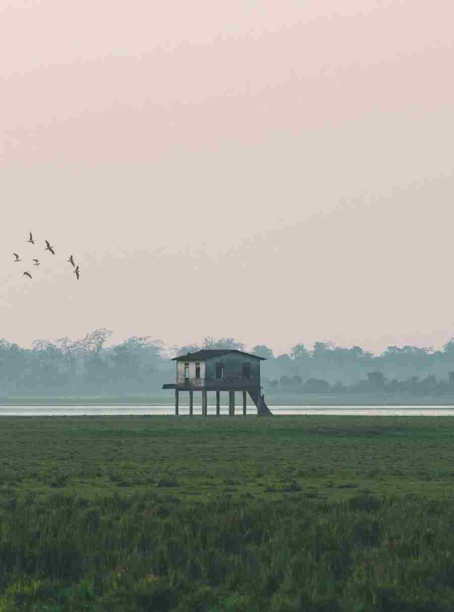 Exciting Things to Do in Assam. Short break holidays packages Pikme.org