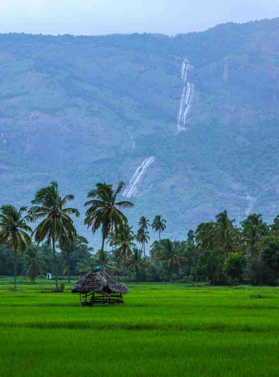 Exciting Things to Do in Kerala. Short break holidays tour packages Pikme.org